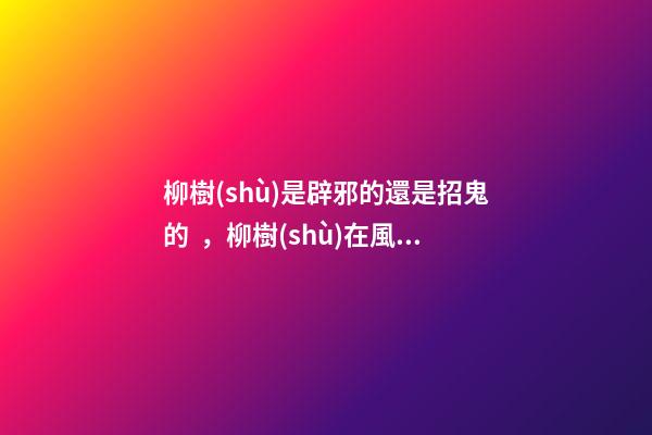 柳樹(shù)是辟邪的還是招鬼的，柳樹(shù)在風(fēng)水學(xué)上有哪些寓意